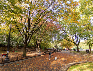 Walter Pierce Park Initiative